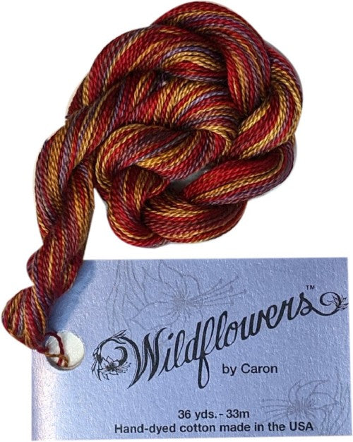 Caron Collection Hand Dyed Wildflowers / 290 Mystery Mix