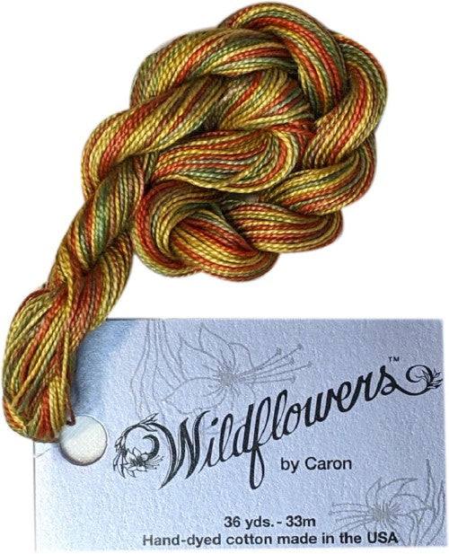 Caron Collection Hand Dyed Wildflowers / 323 Prickly Pear