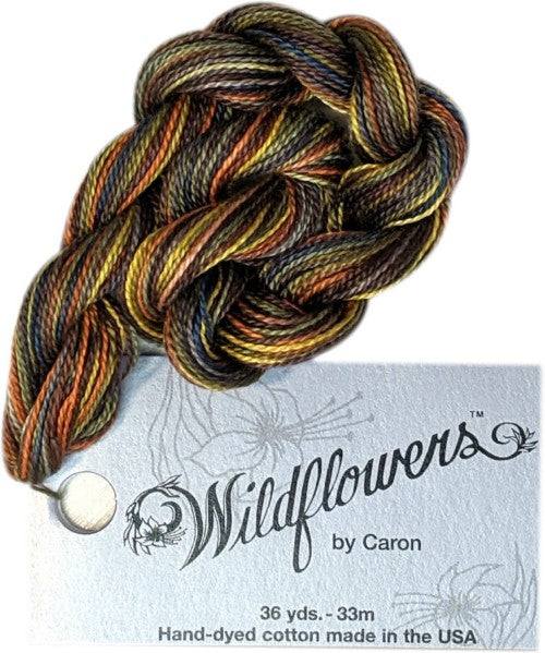 Caron Collection Hand Dyed Wildflowers / 298 Trail Mix