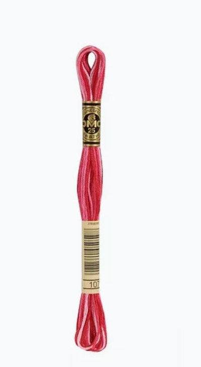 DMC 6 Strand Cotton Embroidery Floss / 107 Carnation Red Variegated