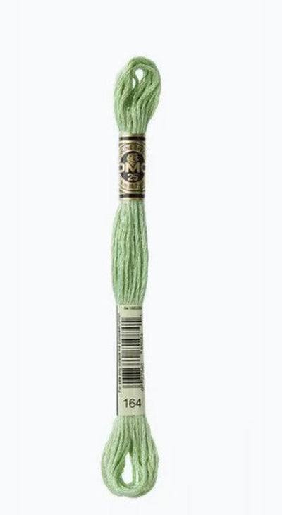 DMC 6 Strand Cotton Embroidery Floss / 164 LT Forest Green