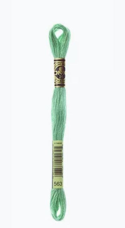 DMC 6 Strand Cotton Embroidery Floss / 563 LT Jade