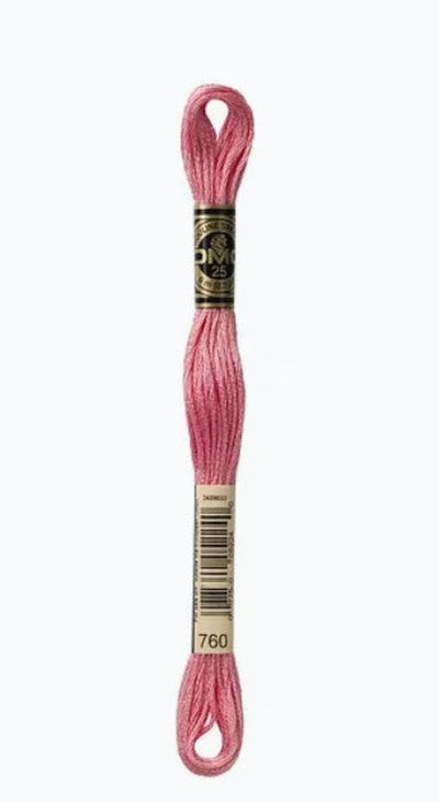 DMC 6 Strand Cotton Embroidery Floss / 760 Salmon