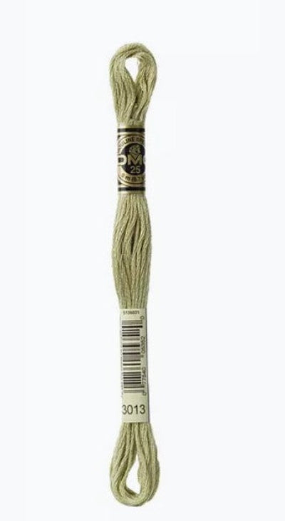 DMC 6 Strand Cotton Embroidery Floss / 3013 LT Khaki Green