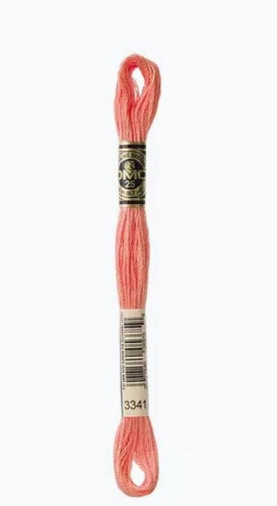 DMC 6 Strand Cotton Embroidery Floss / 3341 Apricot