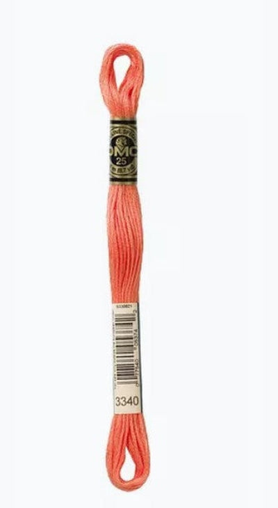 DMC 6 Strand Cotton Embroidery Floss / 3340 MD Apricot