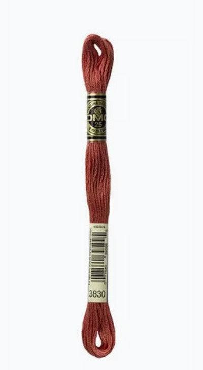 DMC 6 Strand Cotton Embroidery Floss / 3830 Terra Cotta