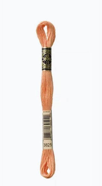 DMC 6 Strand Cotton Embroidery Floss / 3825 Pale Pumpkin