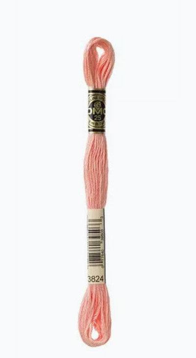 DMC 6 Strand Cotton Embroidery Floss / 3824 LT Apricot