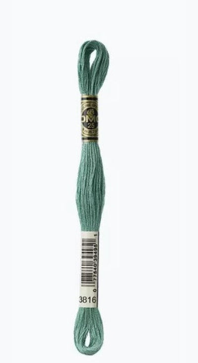 DMC 6 Strand Cotton Embroidery Floss / 3816 Celadon Green