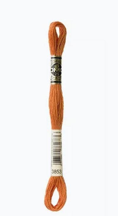 DMC 6 Strand Cotton Embroidery Floss / 3853 DK Autumn Gold