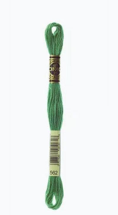 DMC 6 Strand Cotton Embroidery Floss / 562 MD Jade