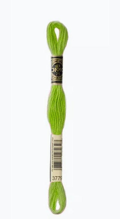 DMC 6 Strand Cotton Embroidery Floss / 3894 Very Light Parrot Green