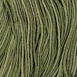 Valdani Variegated 6 Ply Skeins / H202 Withered Green