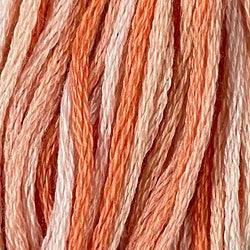 Valdani Variegated 6 Ply Skeins / M22 Peaches