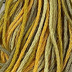 Valdani Variegated 6 Ply Skeins / M28 Harvest