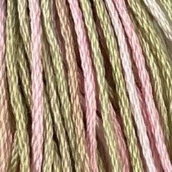 Valdani Variegated 6 Ply Skeins / M63 Early Spring