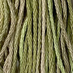 Valdani Variegated 6 Ply Skeins / O559 Watery Weed