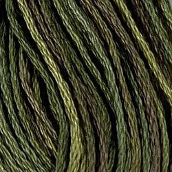 Valdani Variegated 6 Ply Skeins / P2 Olive Green