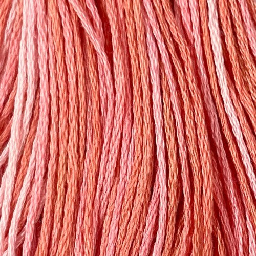 Valdani Variegated 6 Ply Skeins / S304 Coral Glow