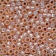 Mill Hill Glass Pony Beads - Size 8/0 - while supplies last