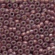 Mill Hill Glass Pony Beads - Size 8/0 - while supplies last